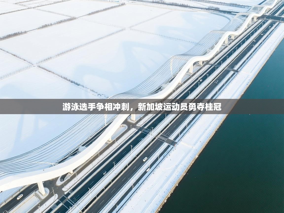 游泳选手争相冲刺,新加坡运动员勇夺桂冠 第2张