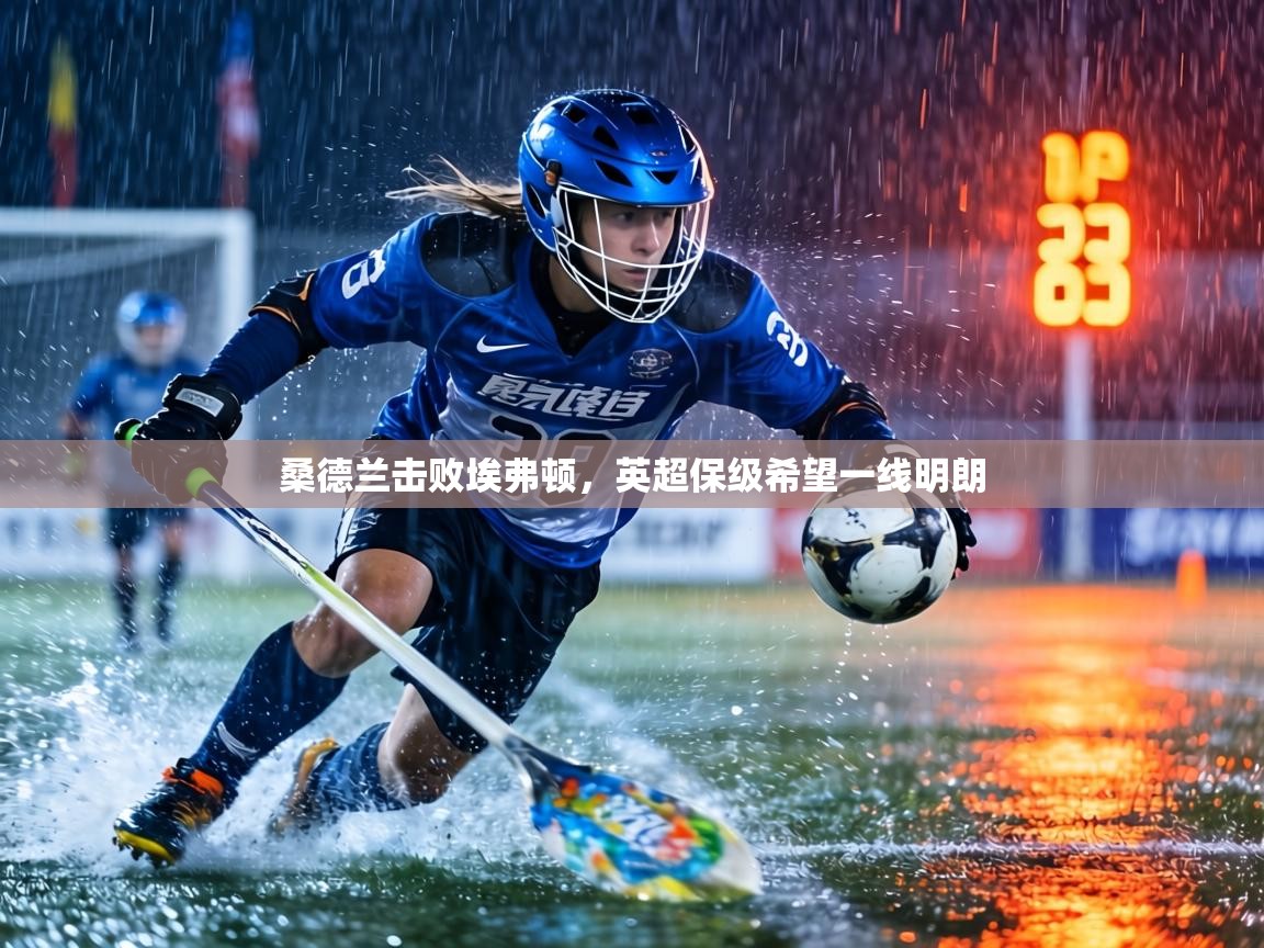 桑德兰击败埃弗顿,英超保级希望一线明朗 第1张