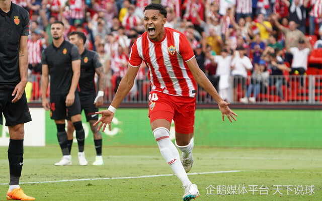 阿尔梅里亚主场告捷，提升保级机会的简单介绍