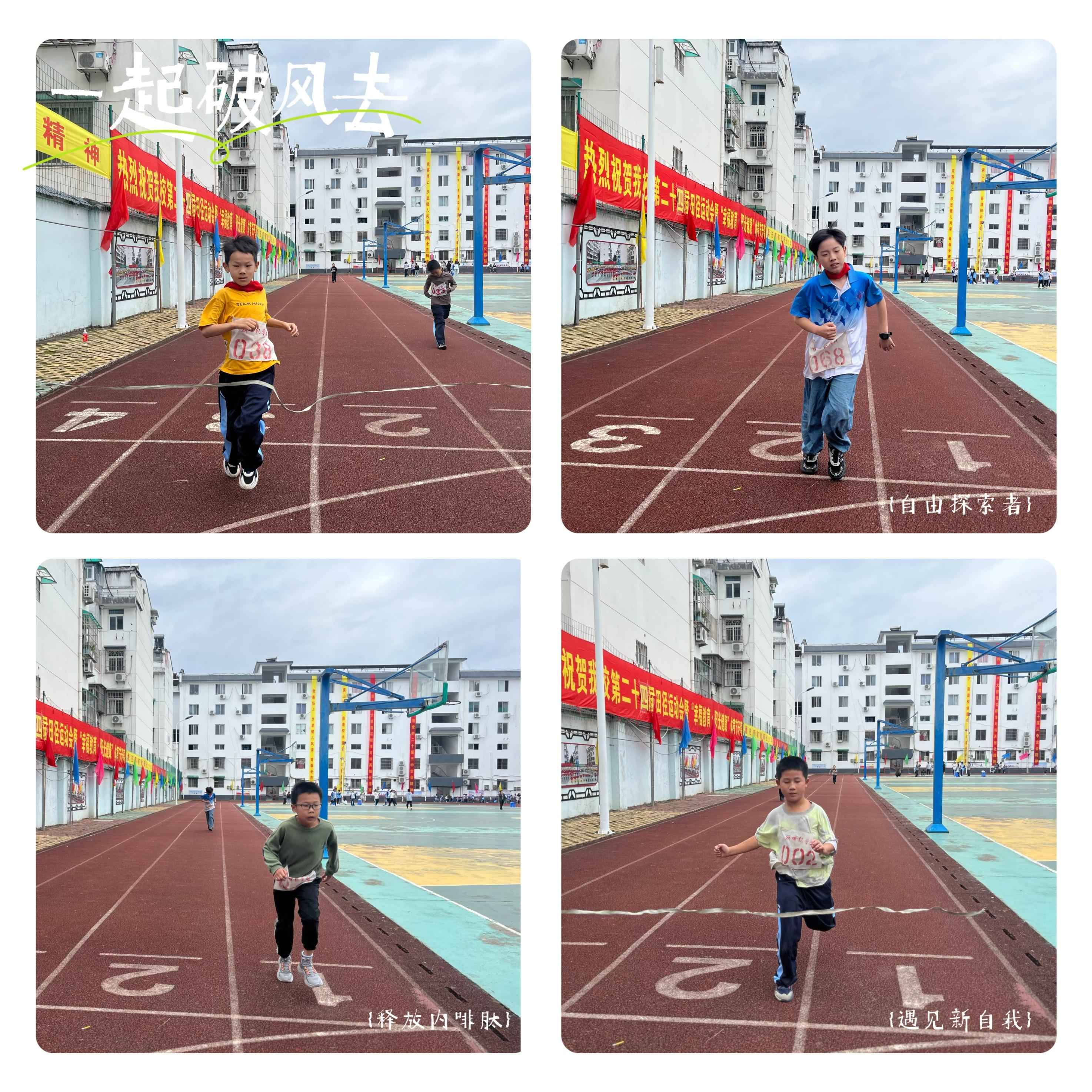 披荆斩棘：运动员们奋勇向前的简单介绍