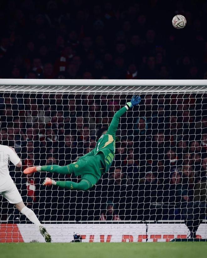 门将英勇扑点，法国艰难战胜奥地利的简单介绍